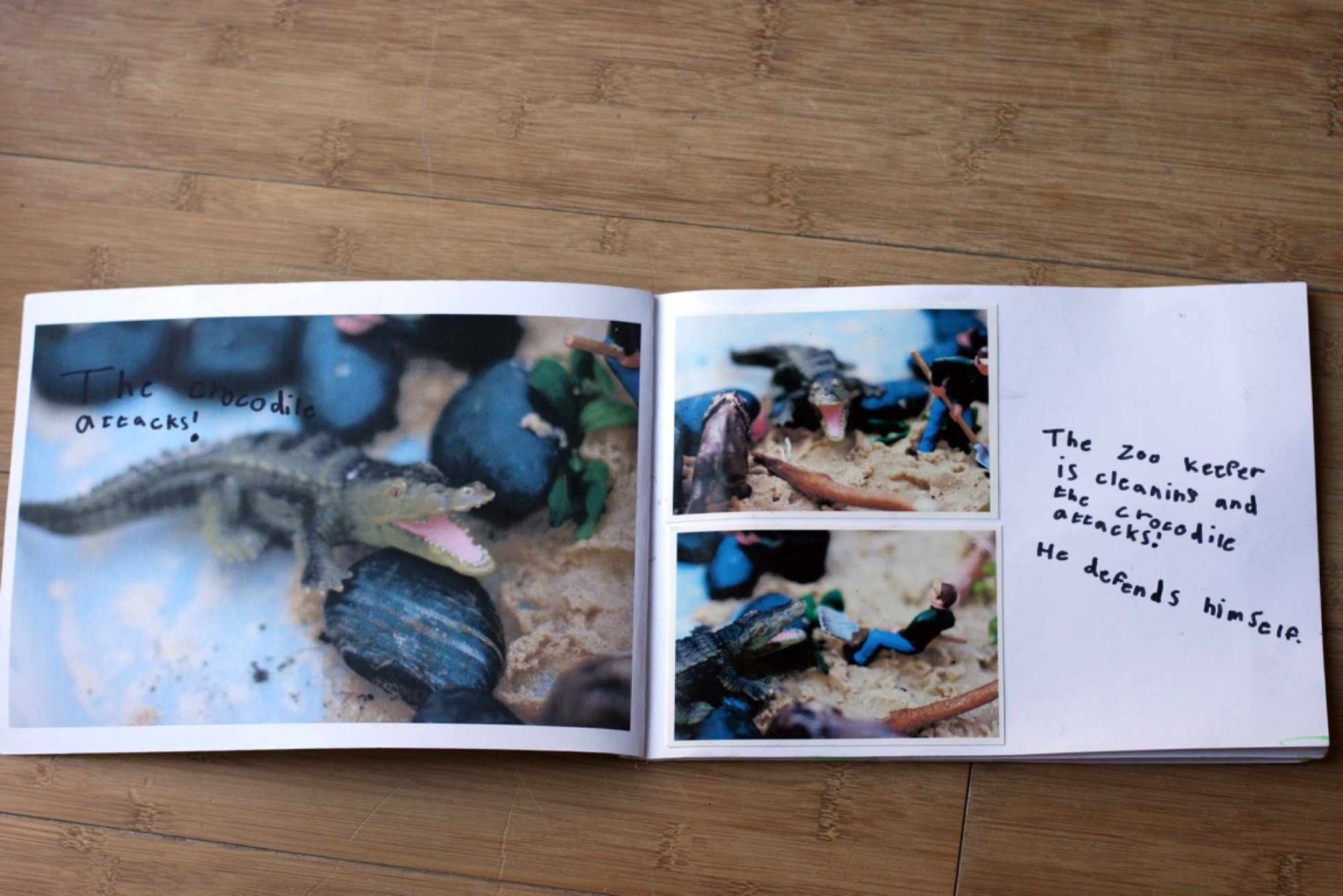 Inside the zoo storybook