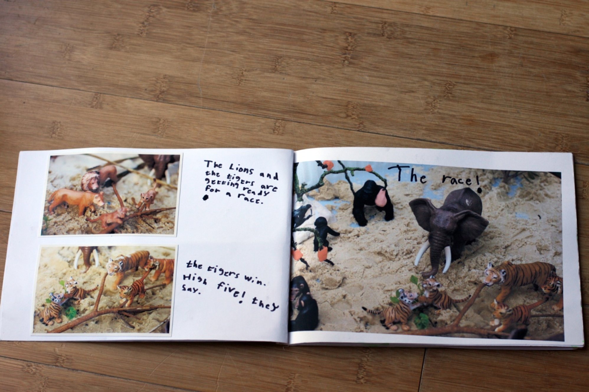 Inside the zoo storybook