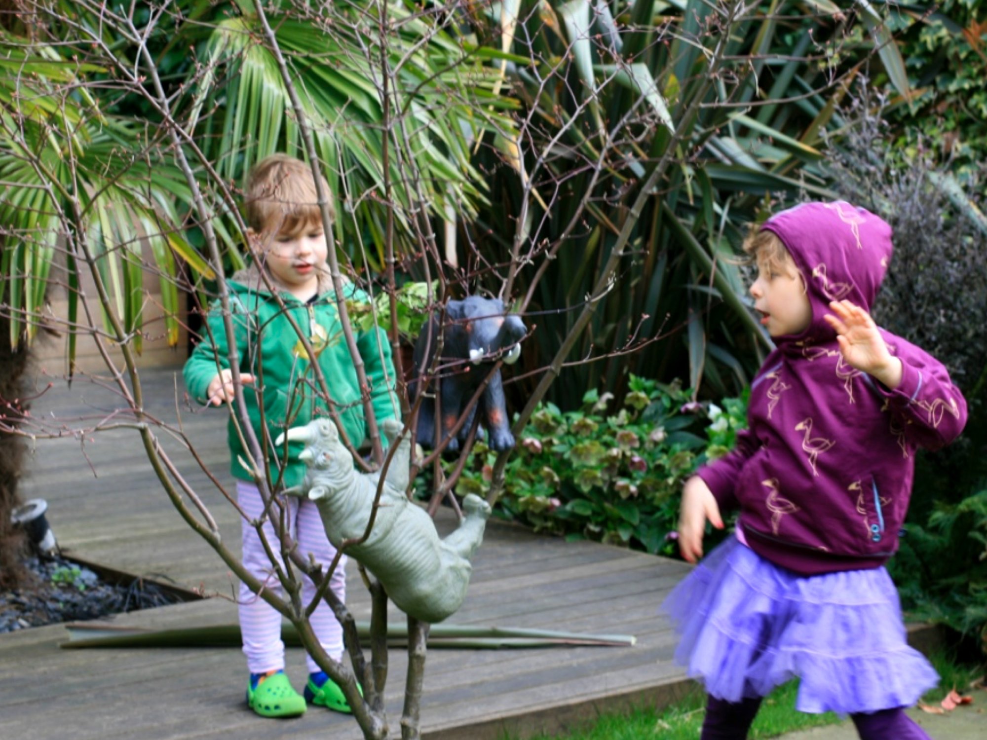 Elephant and rhino in the tree